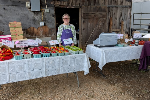 Farm Market